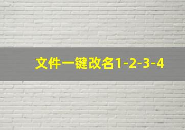 文件一键改名1-2-3-4