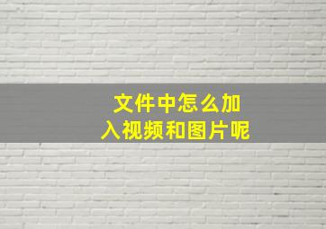 文件中怎么加入视频和图片呢