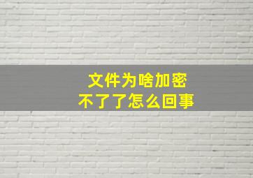 文件为啥加密不了了怎么回事