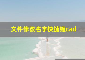 文件修改名字快捷键cad