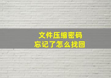 文件压缩密码忘记了怎么找回