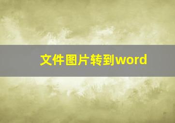 文件图片转到word