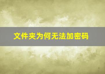 文件夹为何无法加密码