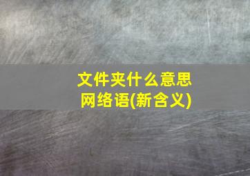 文件夹什么意思网络语(新含义)