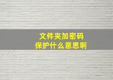 文件夹加密码保护什么意思啊