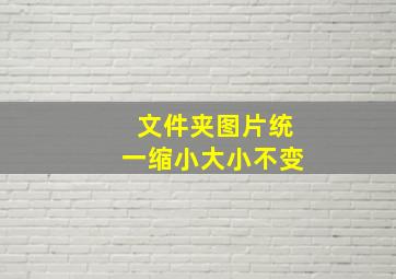 文件夹图片统一缩小大小不变