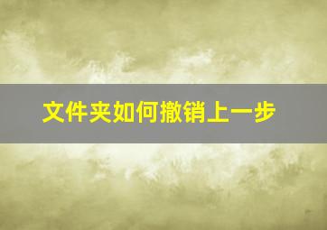 文件夹如何撤销上一步