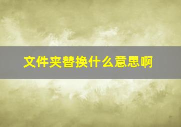 文件夹替换什么意思啊