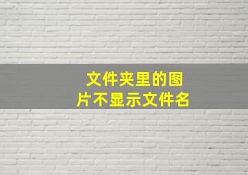 文件夹里的图片不显示文件名