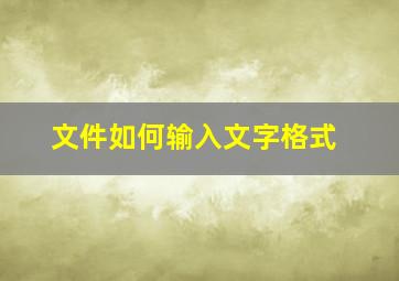 文件如何输入文字格式