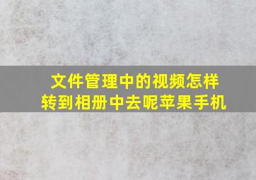 文件管理中的视频怎样转到相册中去呢苹果手机