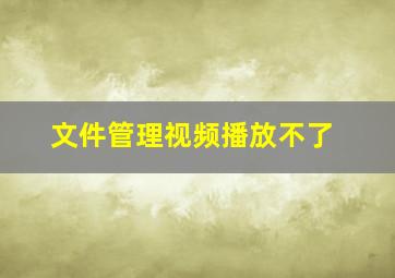 文件管理视频播放不了