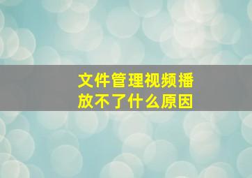 文件管理视频播放不了什么原因