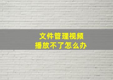 文件管理视频播放不了怎么办