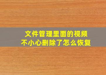 文件管理里面的视频不小心删除了怎么恢复