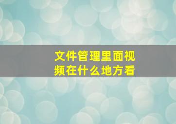 文件管理里面视频在什么地方看