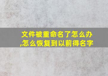 文件被重命名了怎么办,怎么恢复到以前得名字