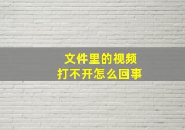 文件里的视频打不开怎么回事