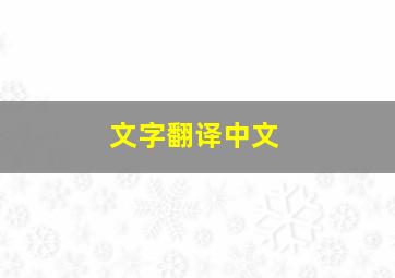 文字翻译中文