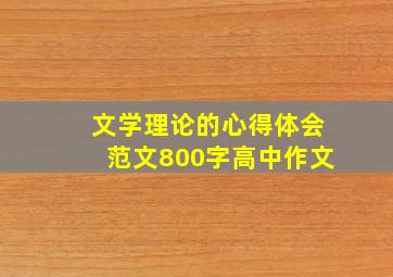 文学理论的心得体会范文800字高中作文