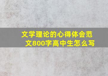 文学理论的心得体会范文800字高中生怎么写