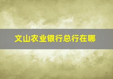 文山农业银行总行在哪