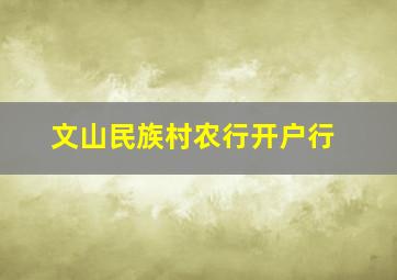 文山民族村农行开户行