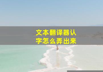 文本翻译器认字怎么弄出来