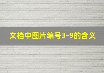 文档中图片编号3-9的含义