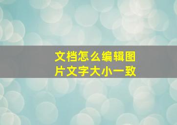 文档怎么编辑图片文字大小一致