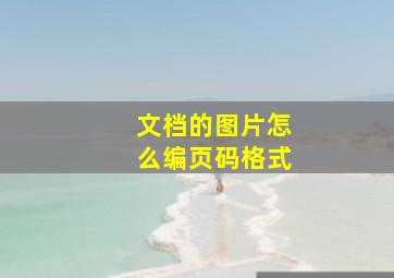 文档的图片怎么编页码格式