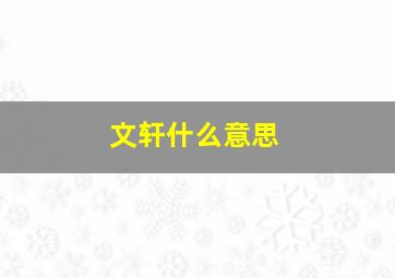 文轩什么意思