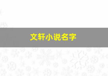 文轩小说名字