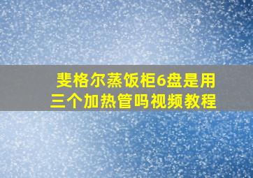 斐格尔蒸饭柜6盘是用三个加热管吗视频教程