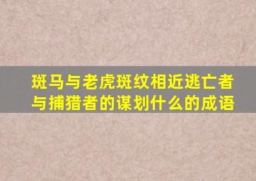 斑马与老虎斑纹相近逃亡者与捕猎者的谋划什么的成语