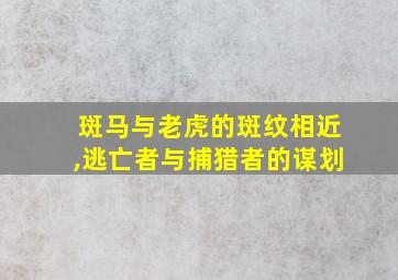 斑马与老虎的斑纹相近,逃亡者与捕猎者的谋划