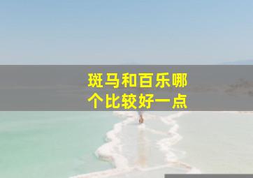 斑马和百乐哪个比较好一点