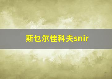 斯乜尔佳科夫snir