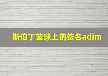 斯伯丁篮球上的签名adim