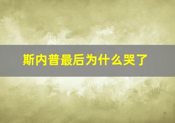 斯内普最后为什么哭了