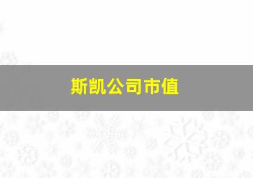 斯凯公司市值