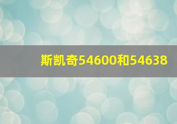 斯凯奇54600和54638