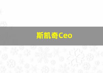 斯凯奇Ceo