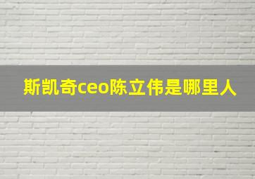 斯凯奇ceo陈立伟是哪里人