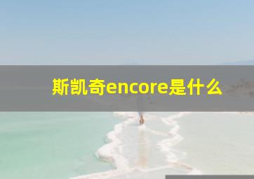 斯凯奇encore是什么