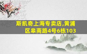 斯凯奇上海专卖店,黄浦区皋南路4号6栋103