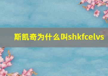 斯凯奇为什么叫shkfcelvs