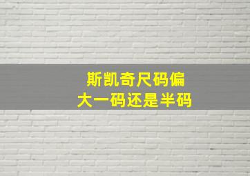 斯凯奇尺码偏大一码还是半码