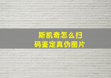 斯凯奇怎么扫码鉴定真伪图片