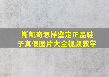 斯凯奇怎样鉴定正品鞋子真假图片大全视频教学